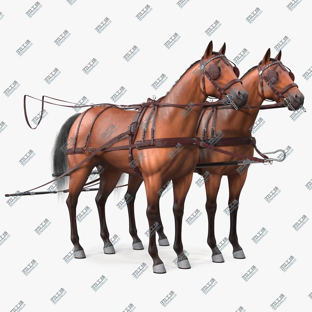 images/goods_img/20210313/Pair of Breast Collar Harness Fur 3D model/1.jpg